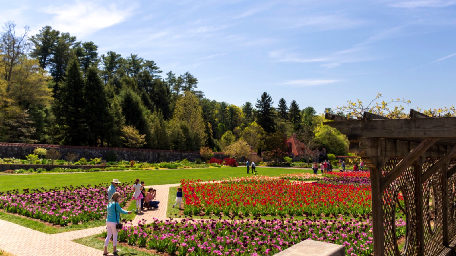 Biltmore Estate Gardens