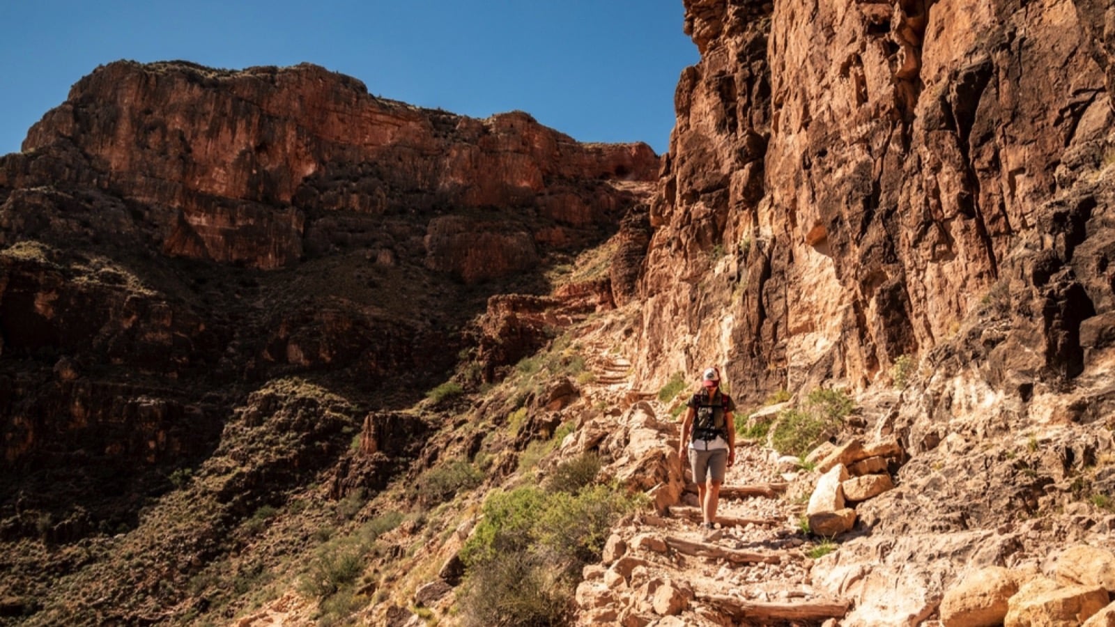 The Bright Angel Trail Grand Canyon National Park