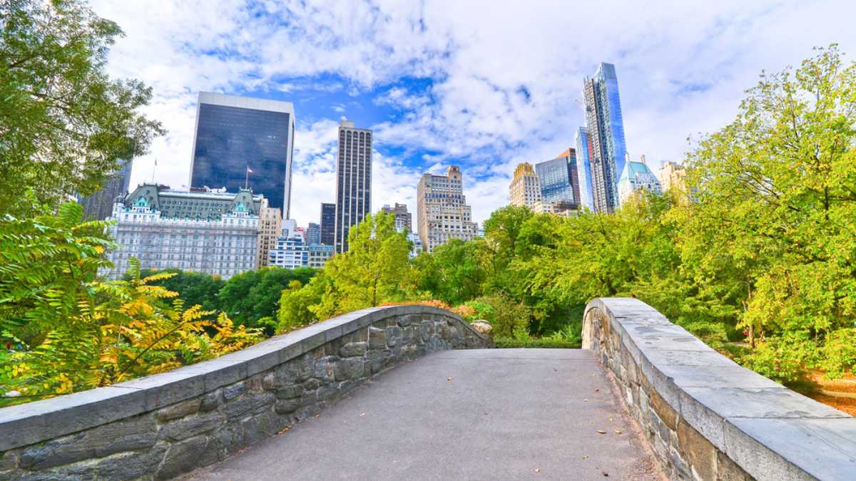 Central Park in New York City