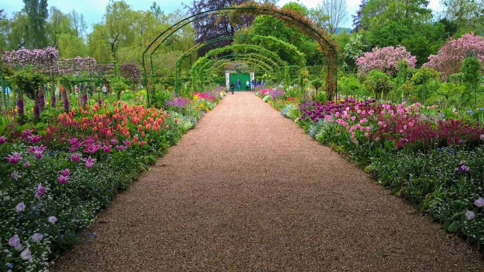 Claudet Monet's Garden