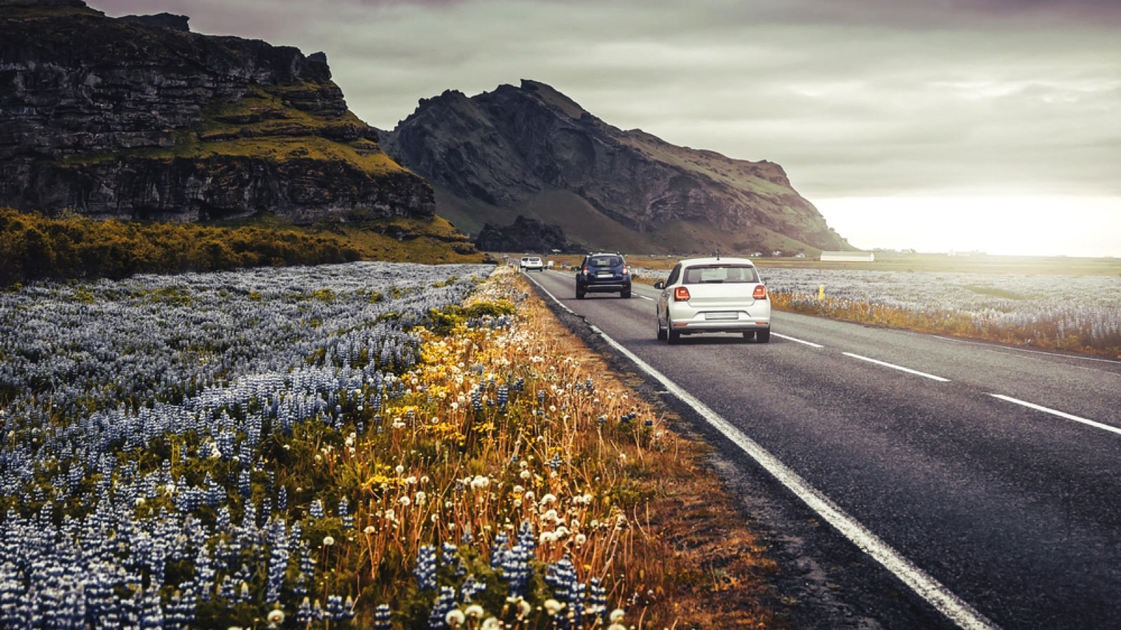 cars driving on road in Iceland