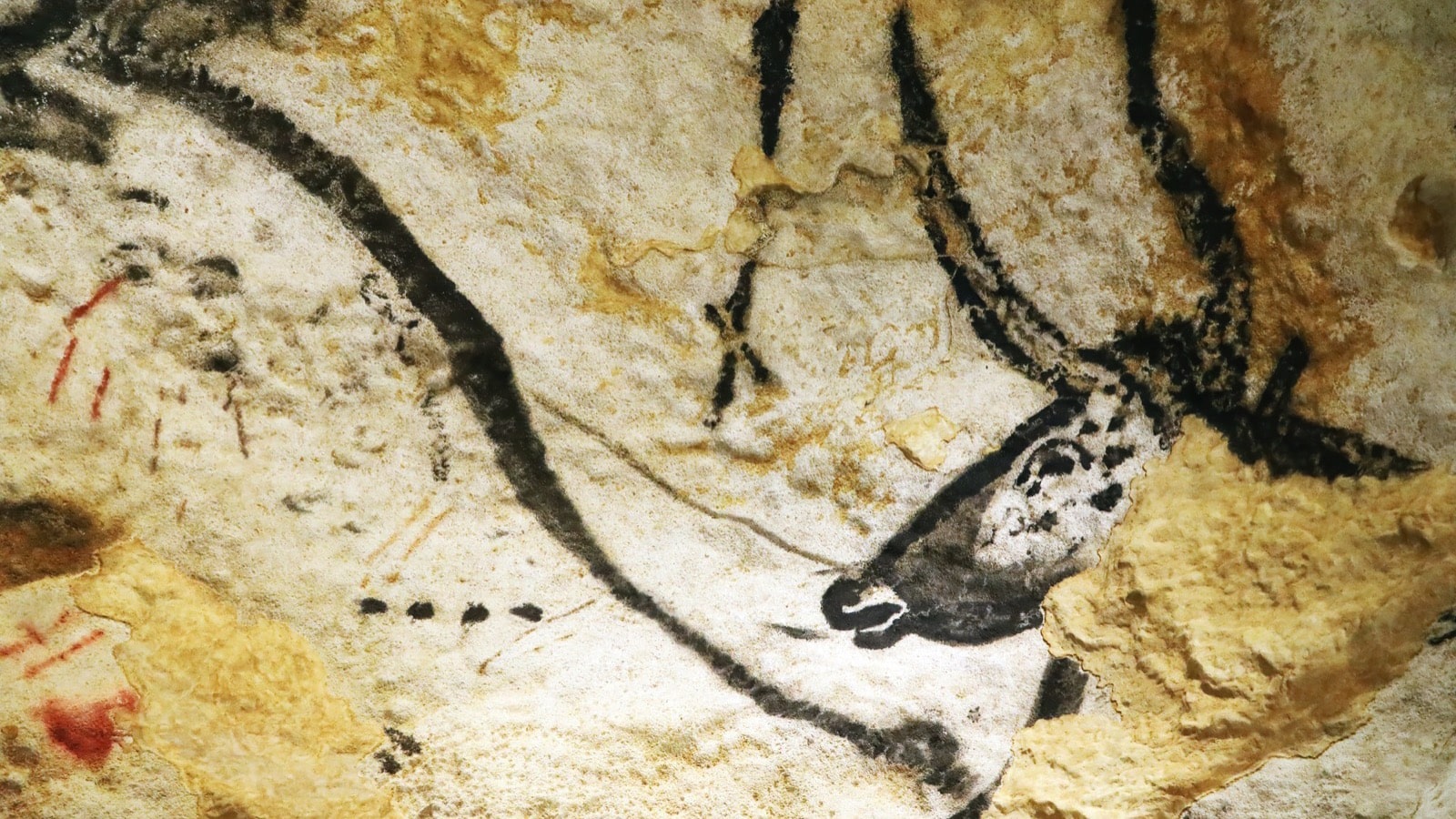 Interior of Lascaux caves