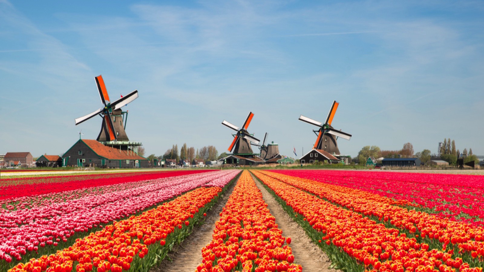 Keukenhof Gardens, Netherlands