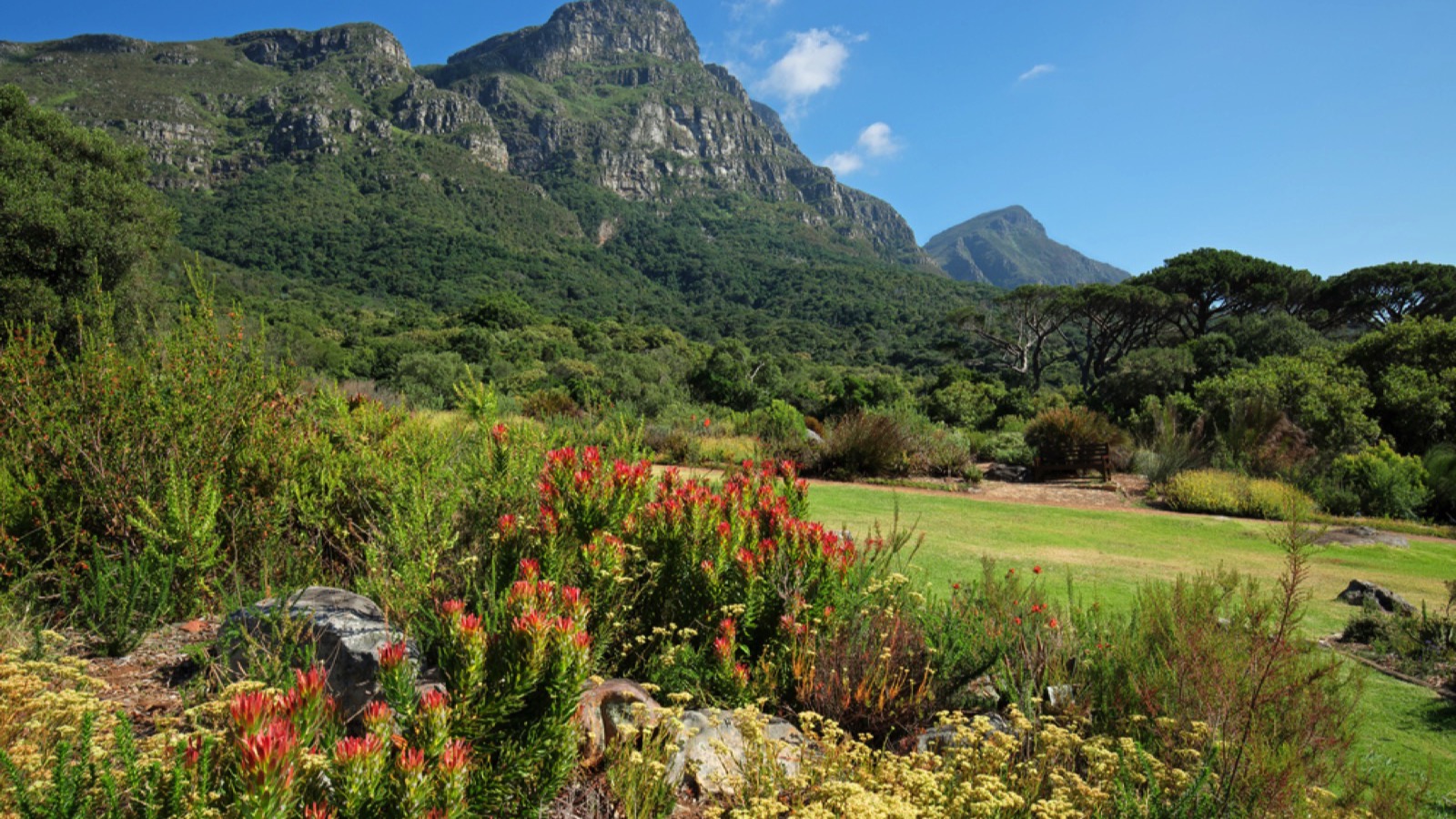 Kirstenbosch National Botanical Garden, South Africa