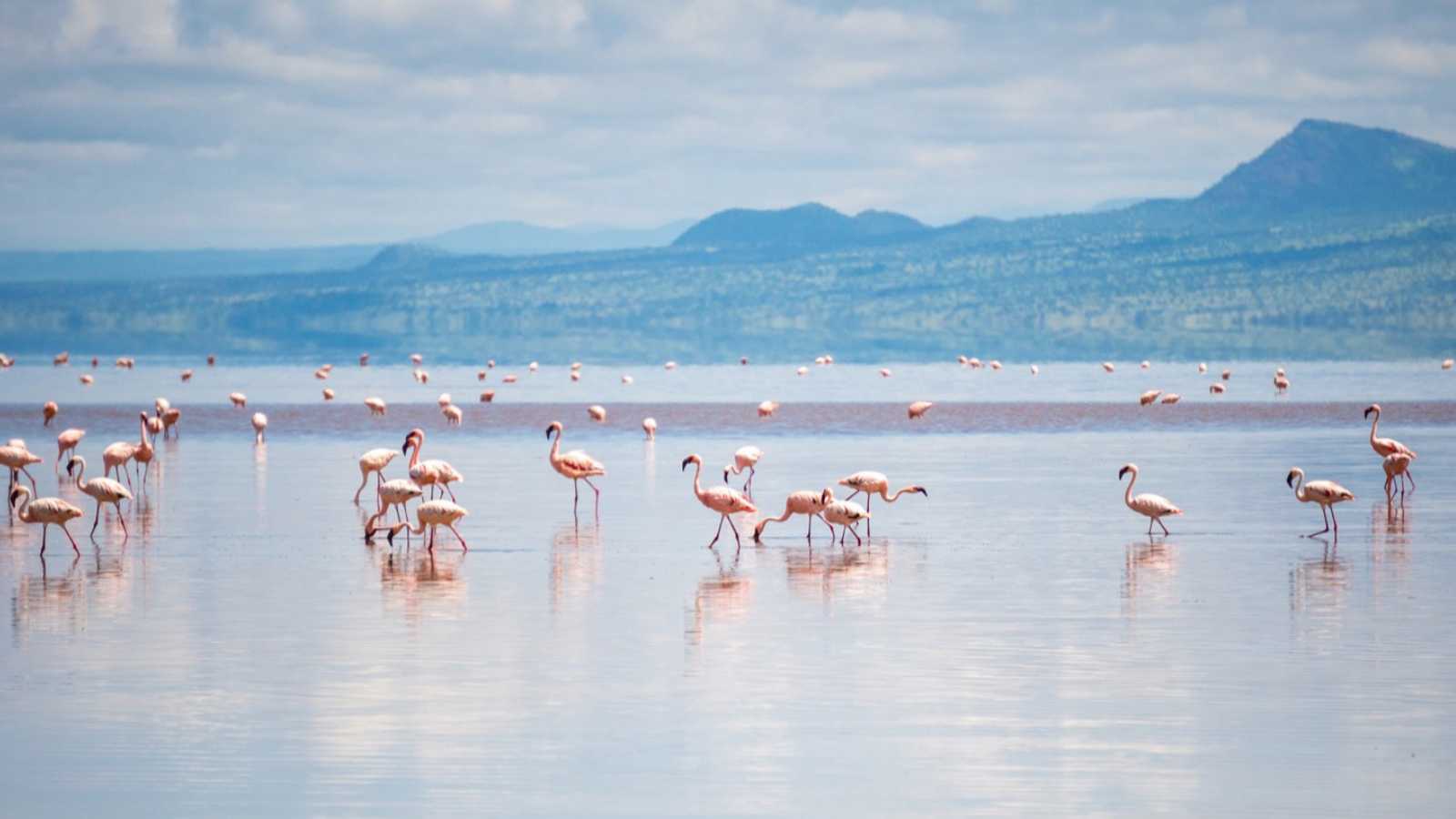 Lake Natron, Tanzania