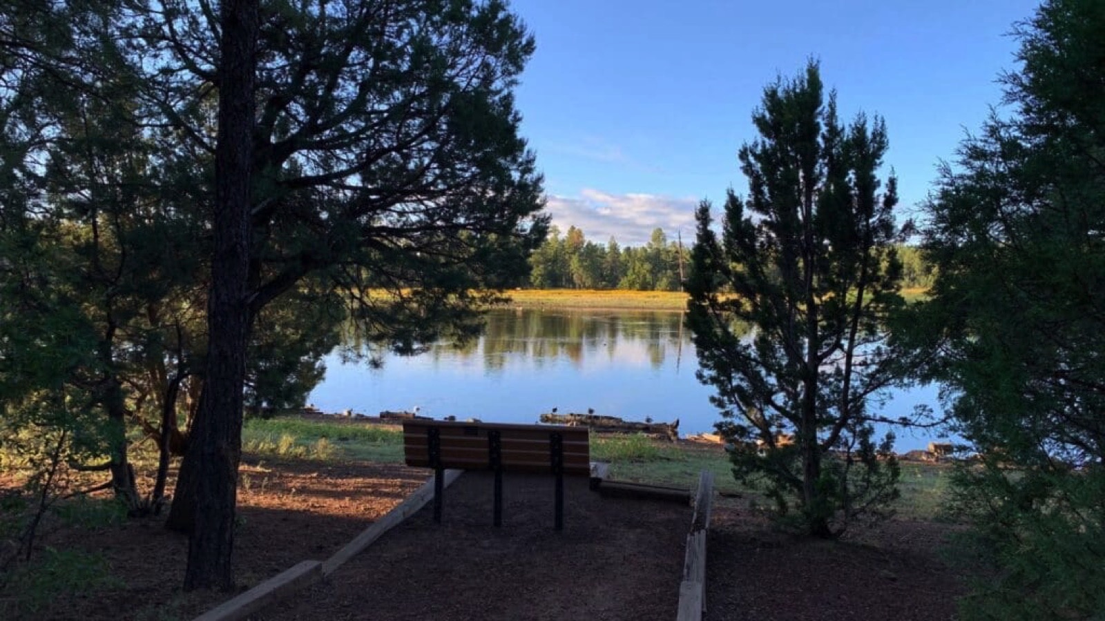 bench at lake in Pinetop-Lakeside, AZ