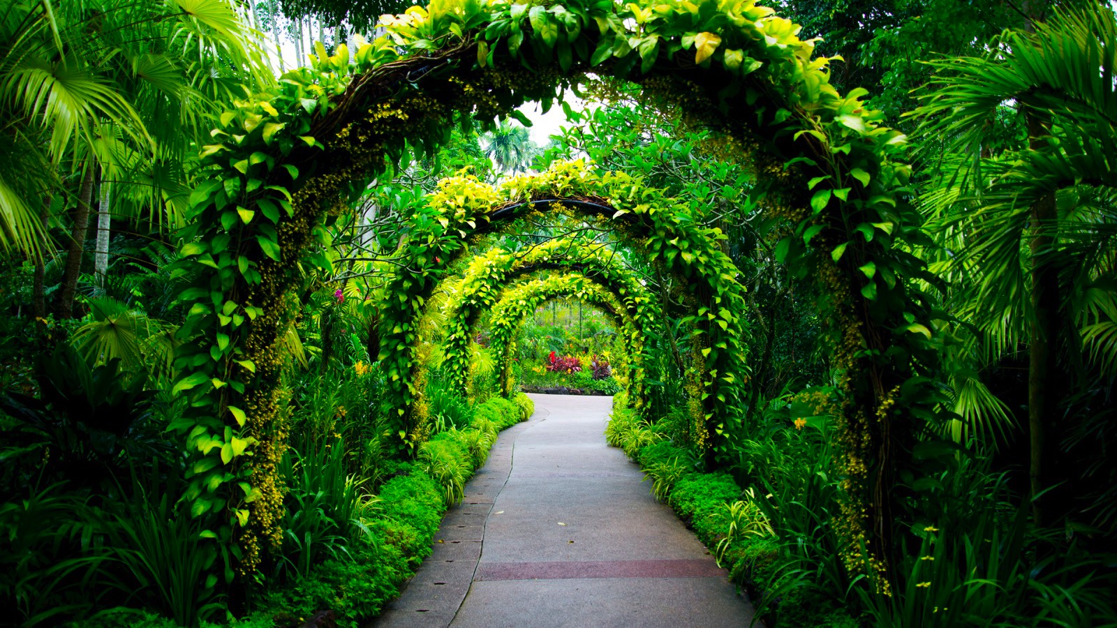 Singapore Botanic Garden