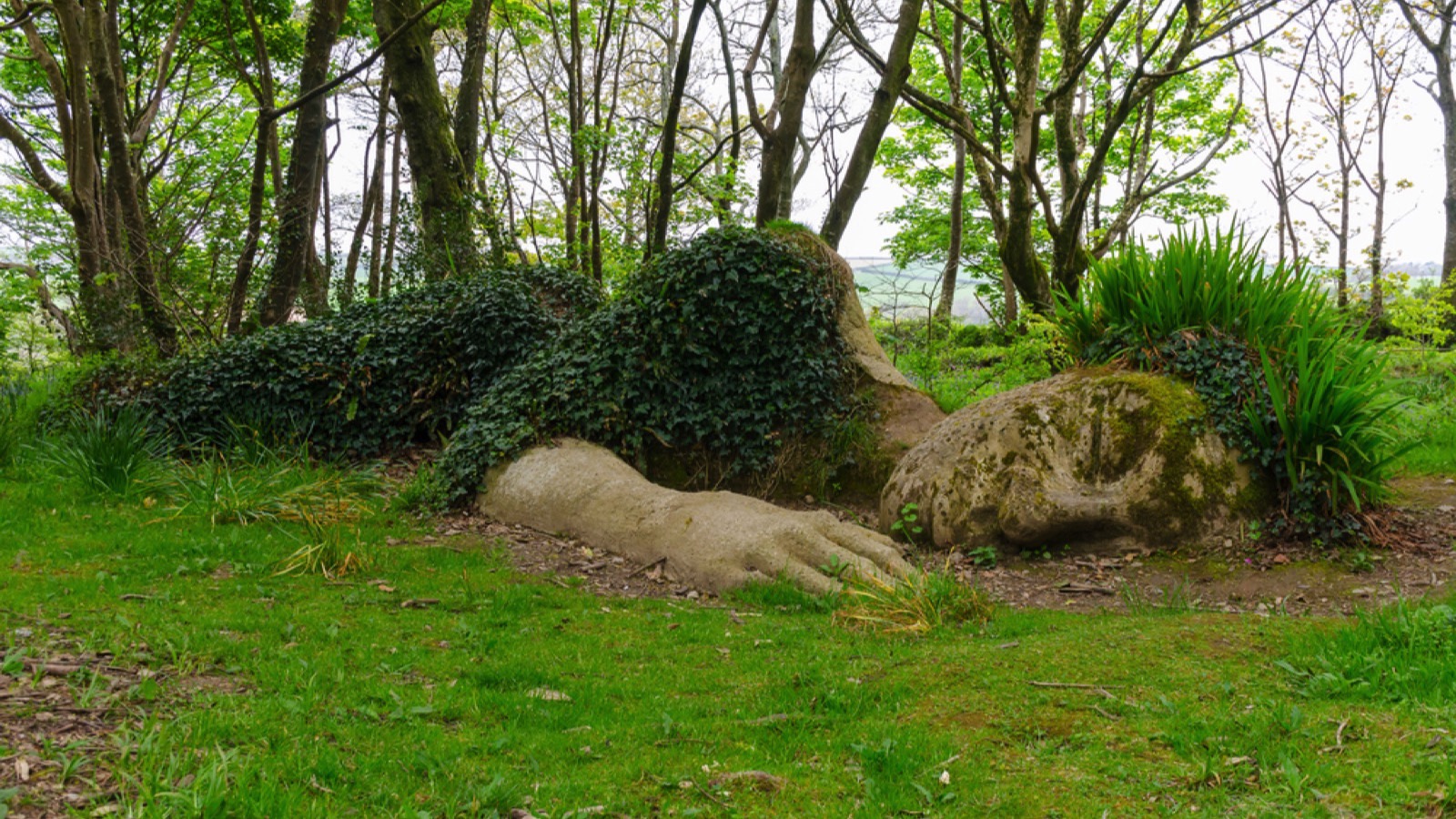 The Lost Garden of Heligan