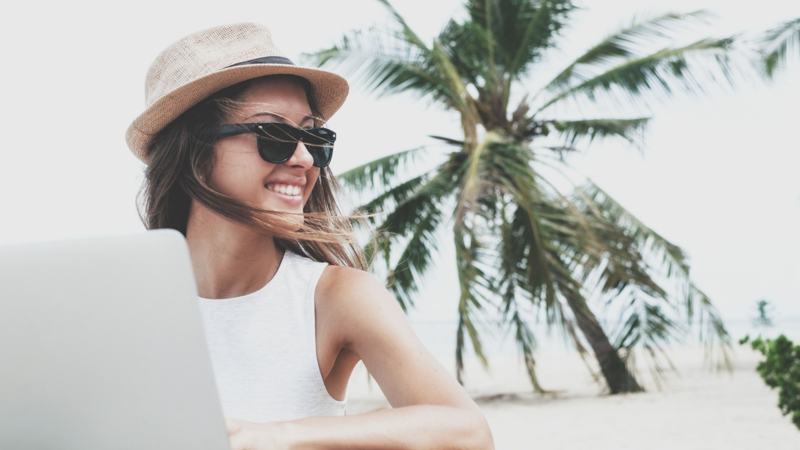 digital nomad on beach palm tree