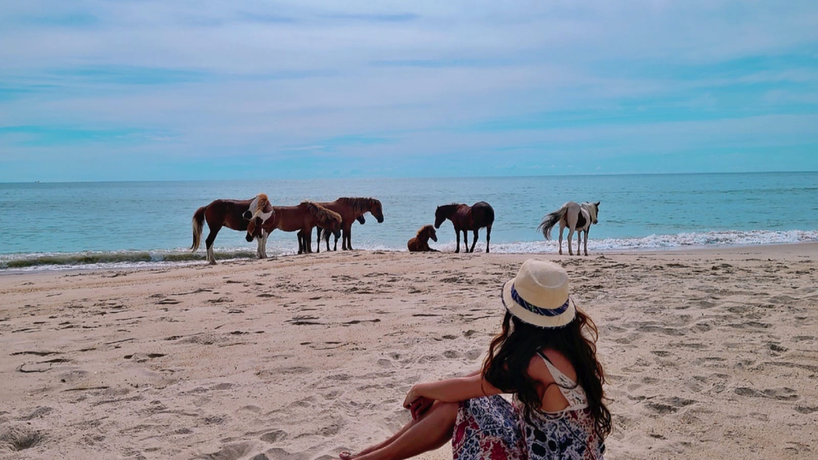 Assateague-Island-National-Seashore-Maryland