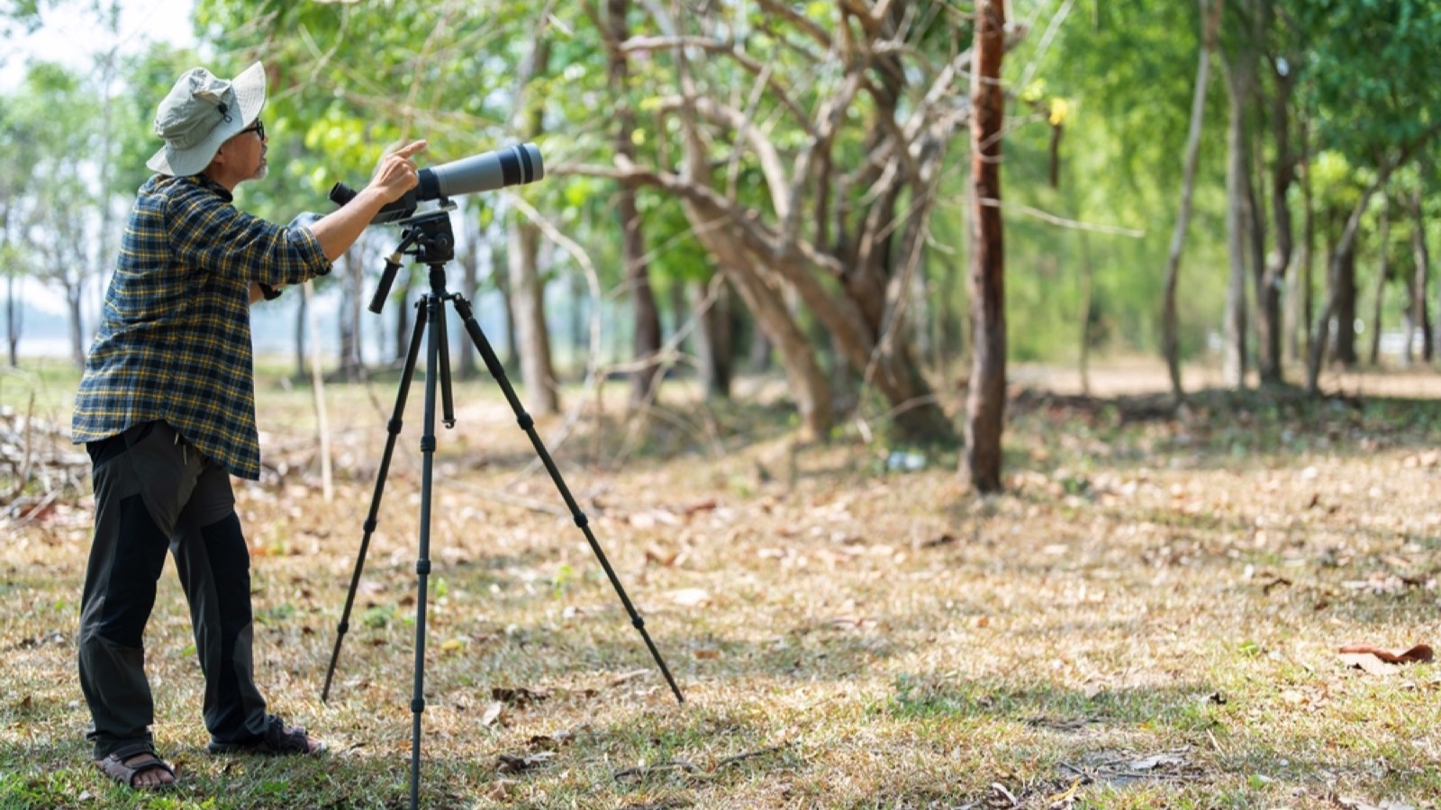 Birdwatching