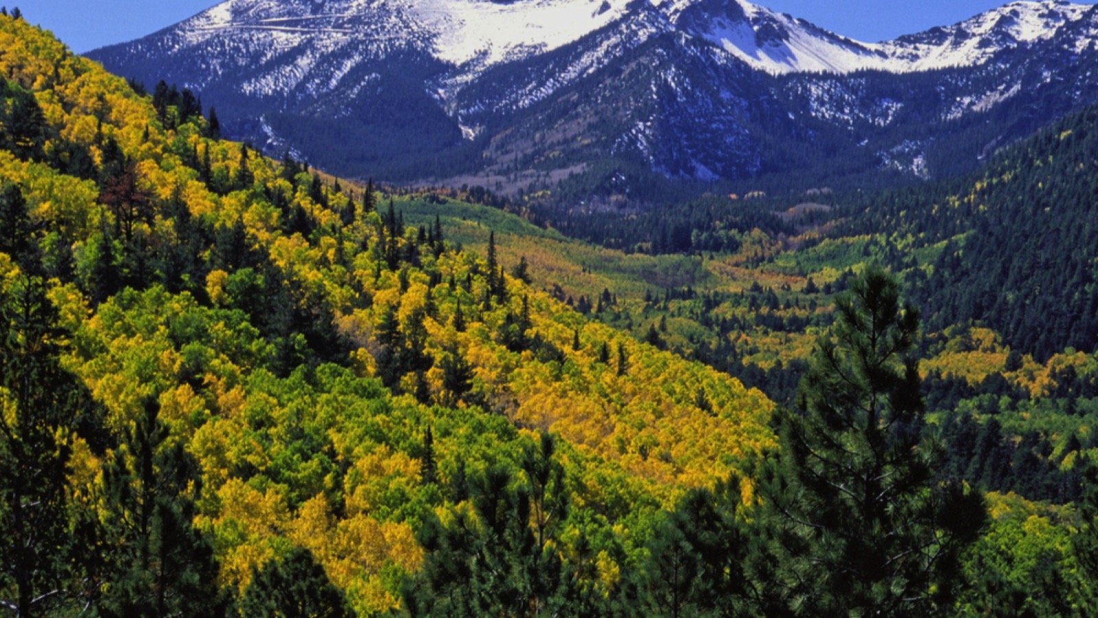 Coconino National Forest, Arizona