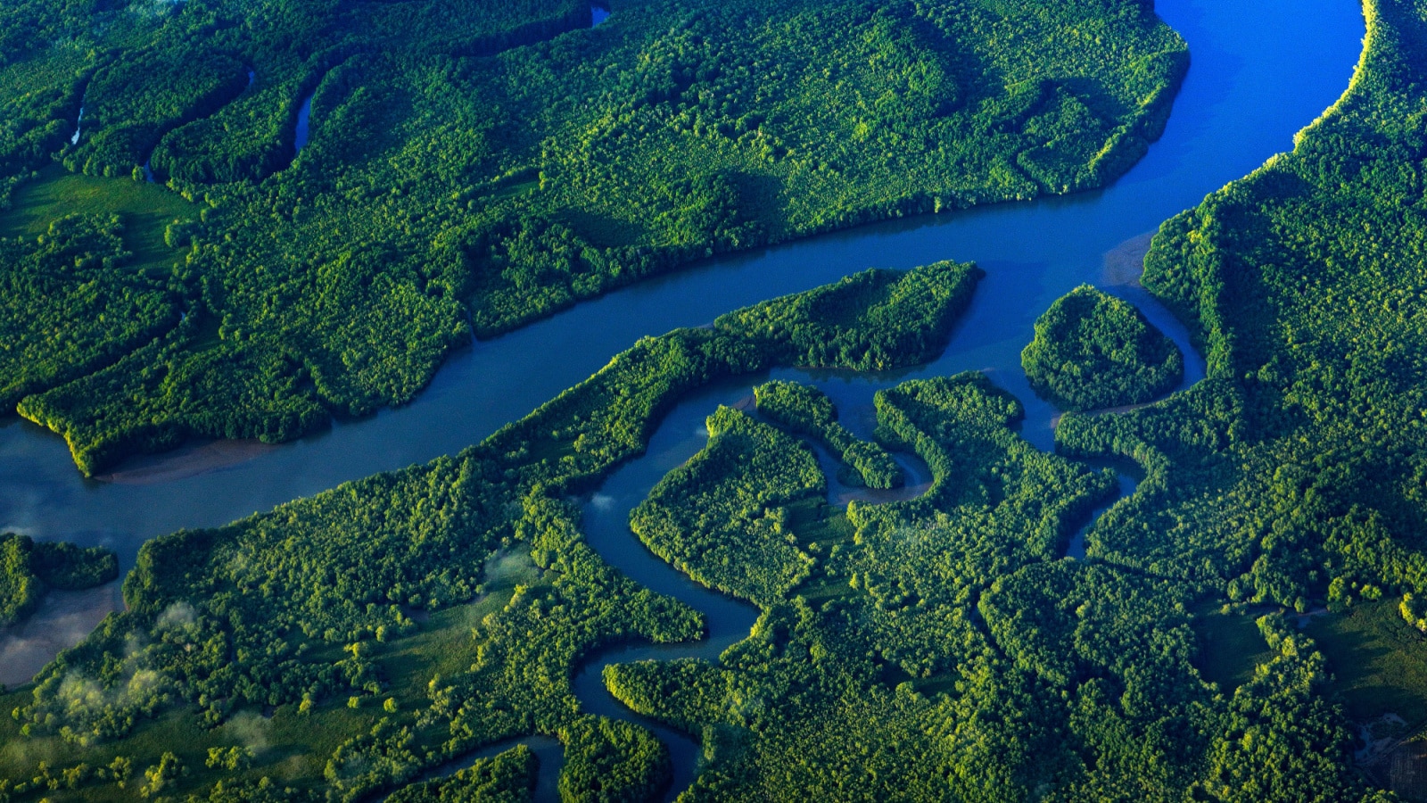 Corcovado National Park