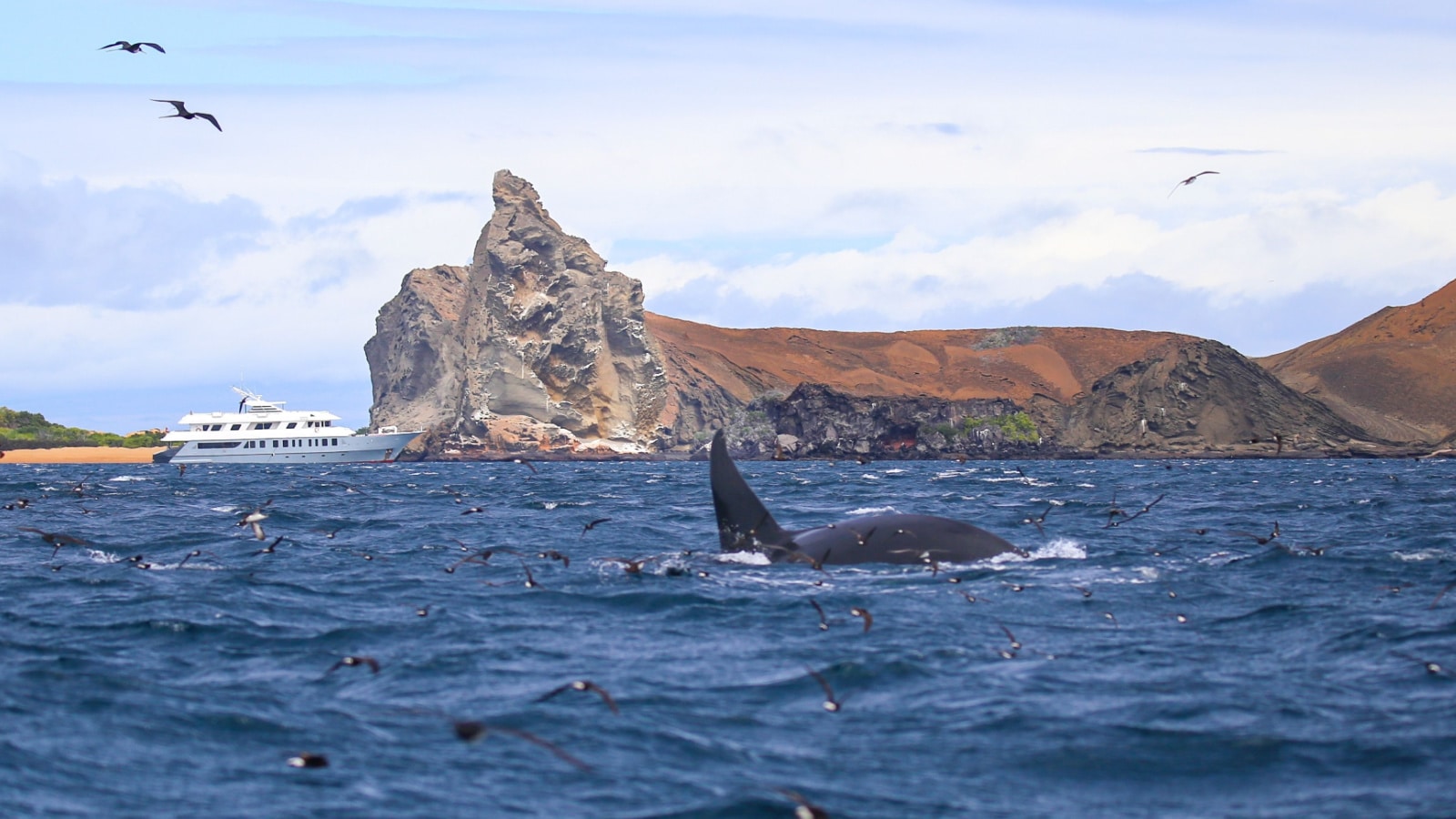 Galápagos Islands Boat Tour