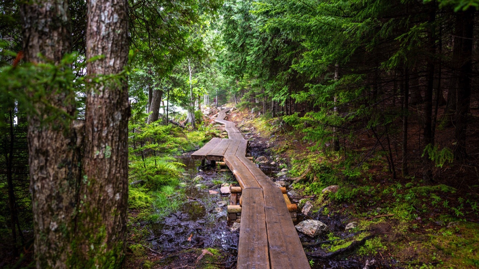 Jordan-Pond-Path