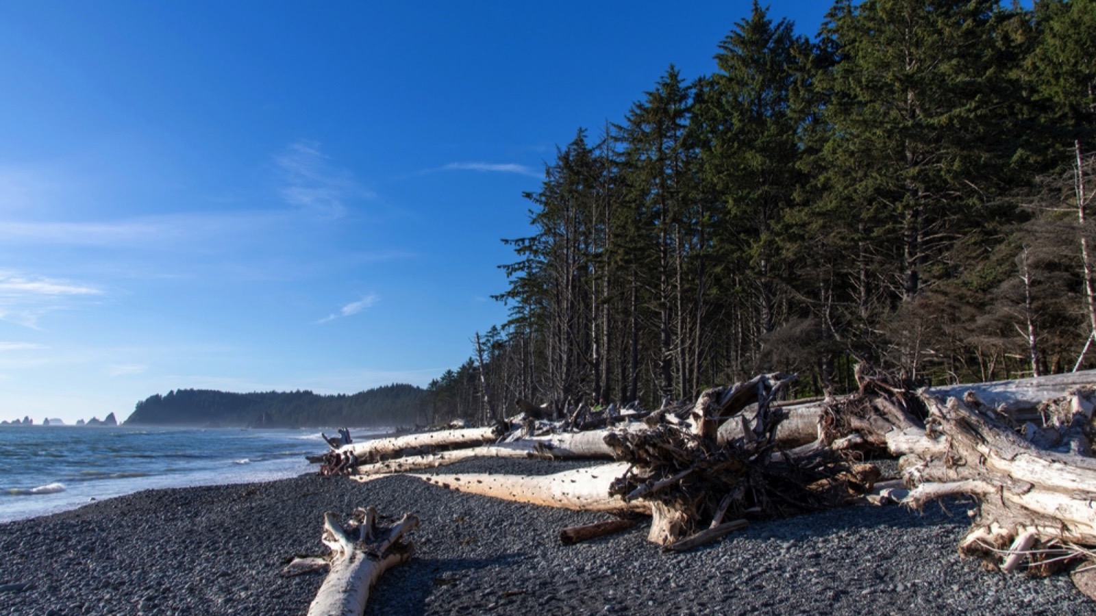 Kalaloch beach on coastal stretch of Olympic National Park, WA, USA