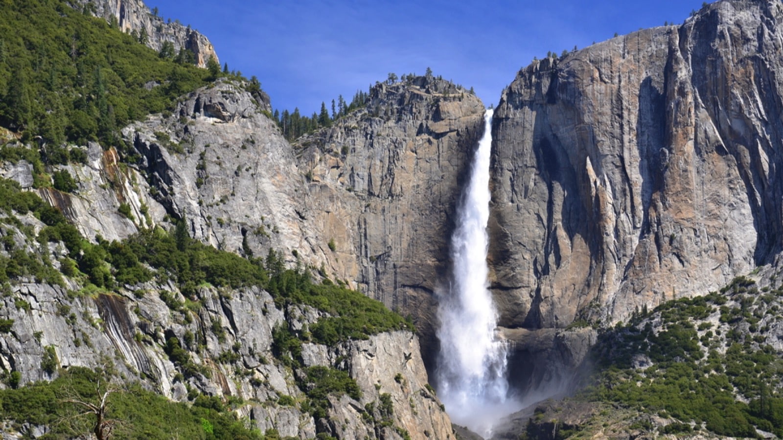 Lower Yosemite Fall Trail