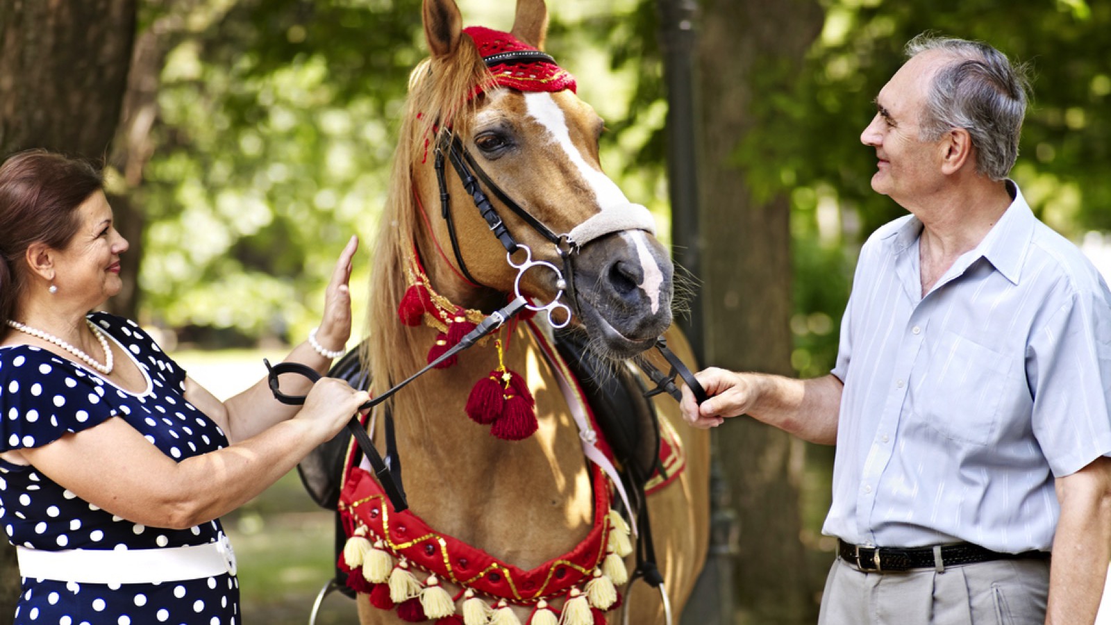 Senior couple doing Horseback Riding