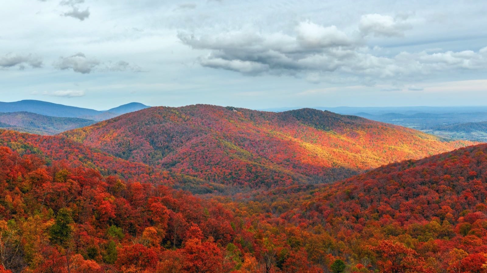 Shenandoah National Park, Virginia