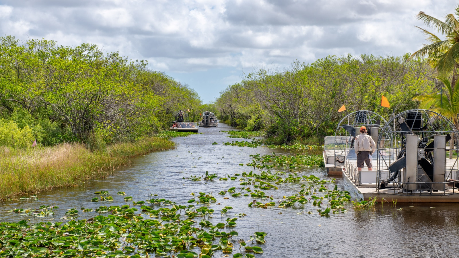 Airboats tours