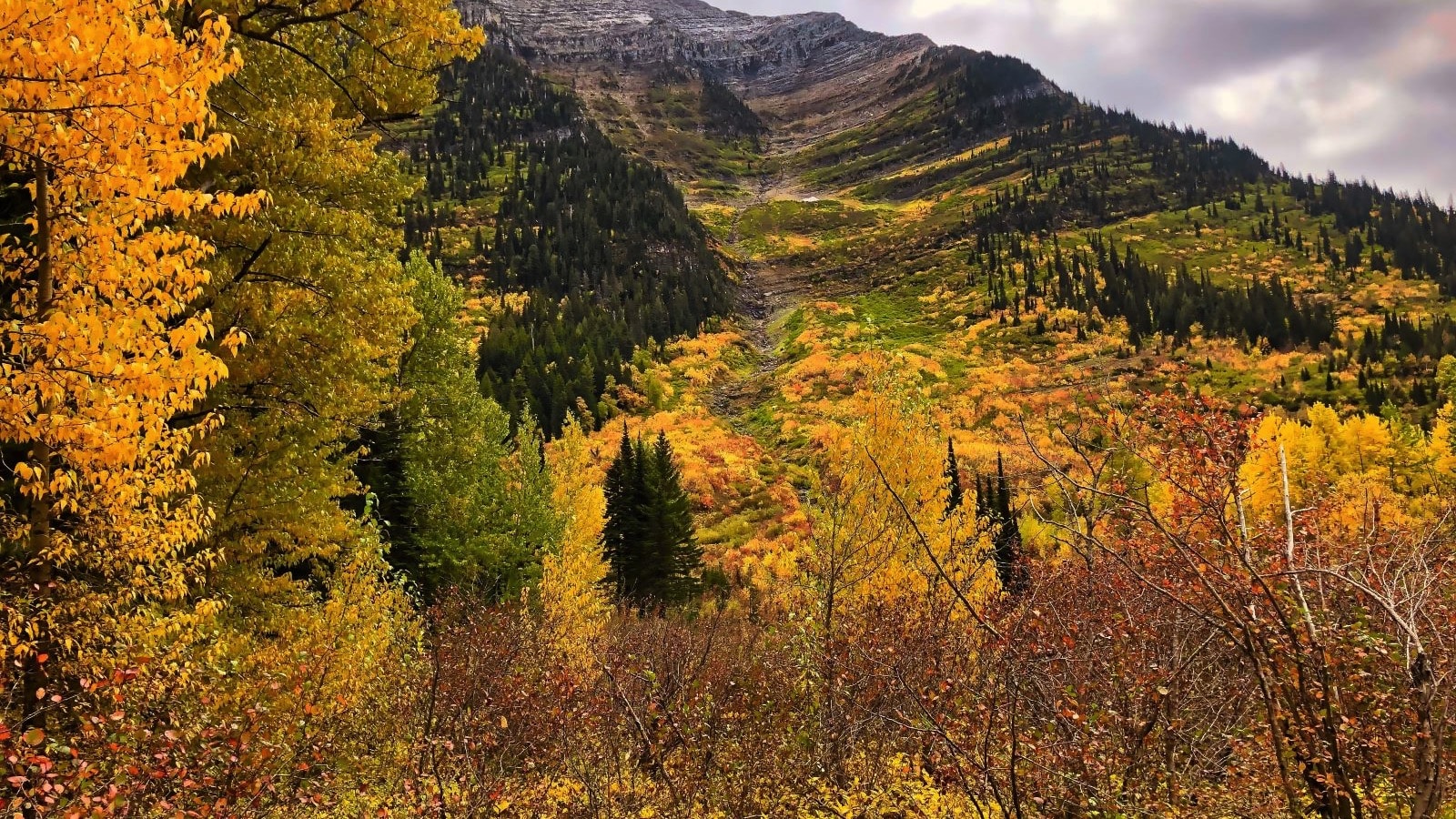 Glacier National Park, Montana