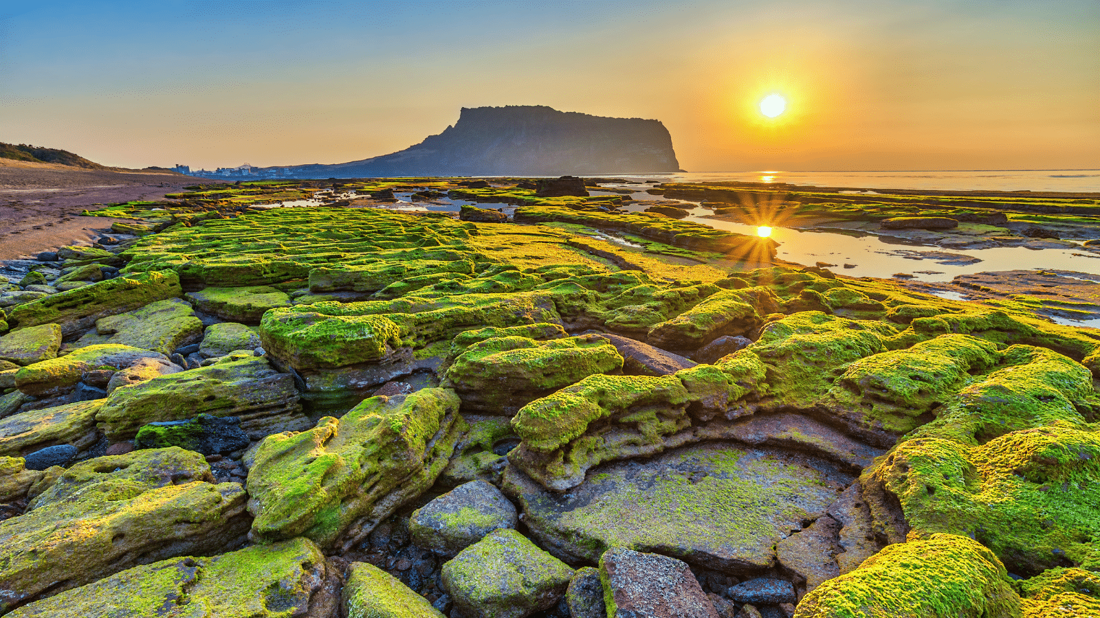 Jeju Island