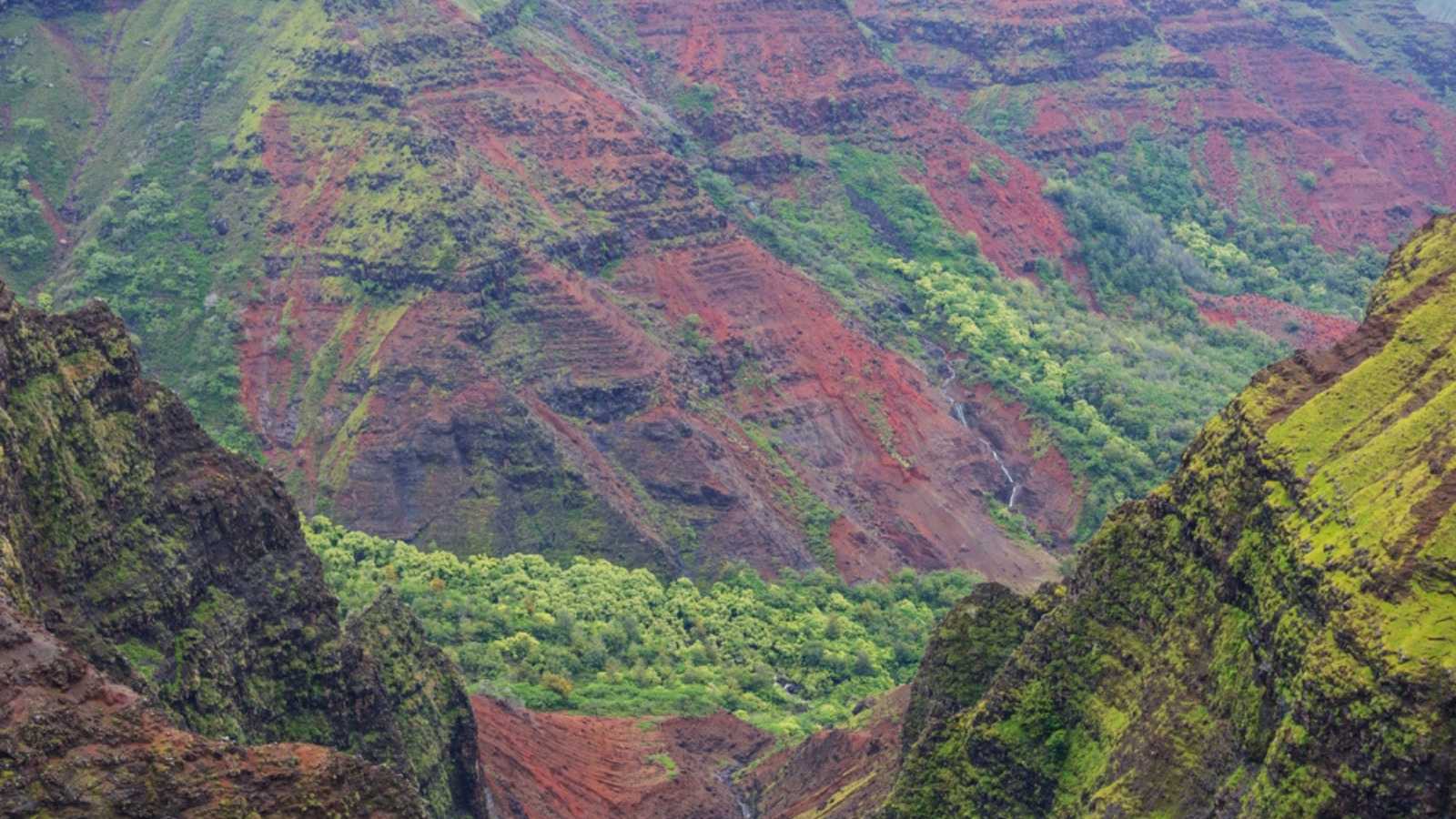 Waimea canyon, Kauai island, Hawaii