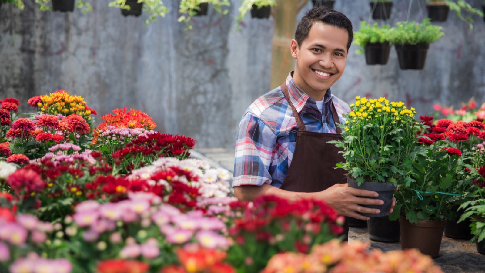 Male florist