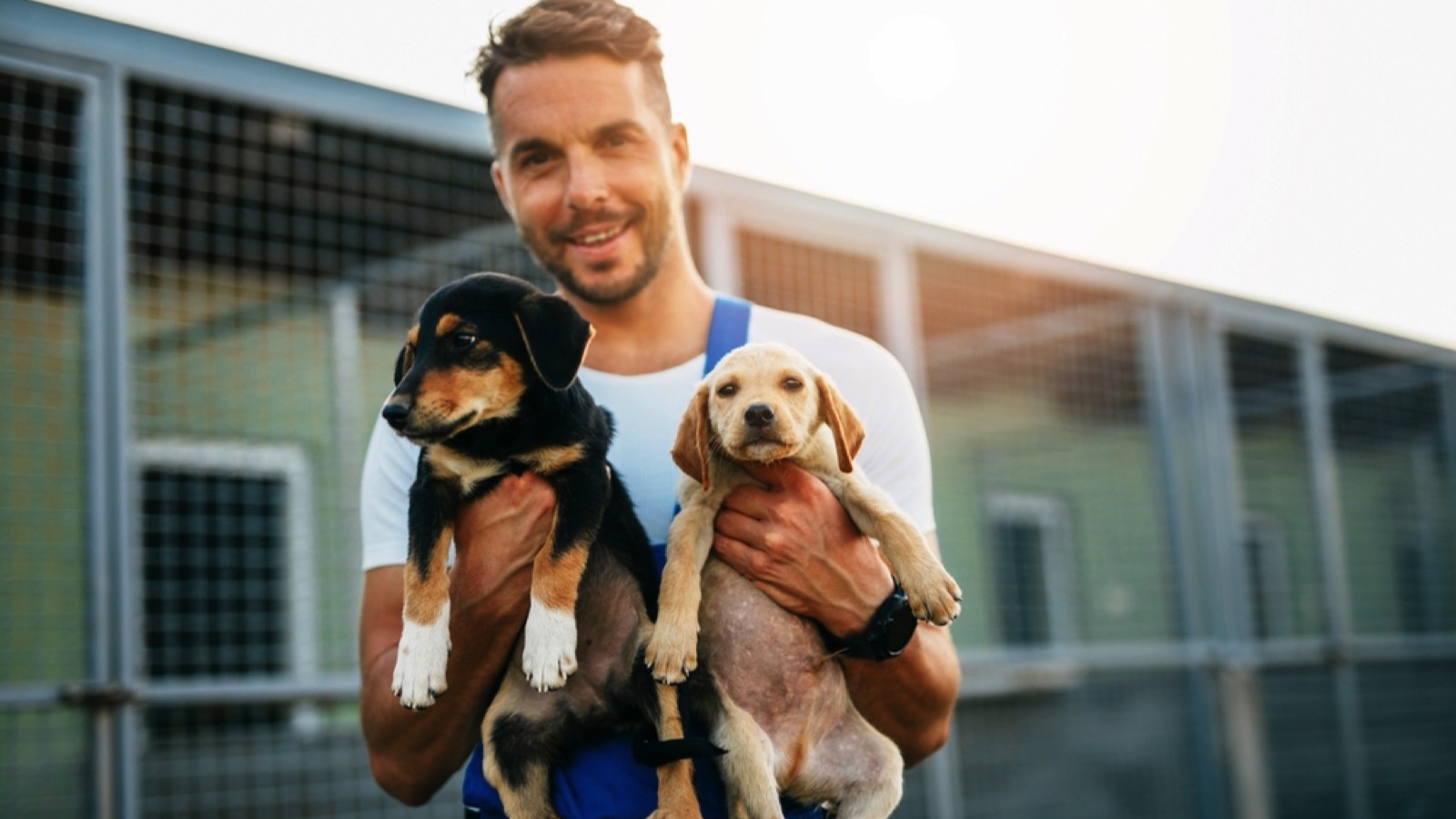 Man in animal shelter