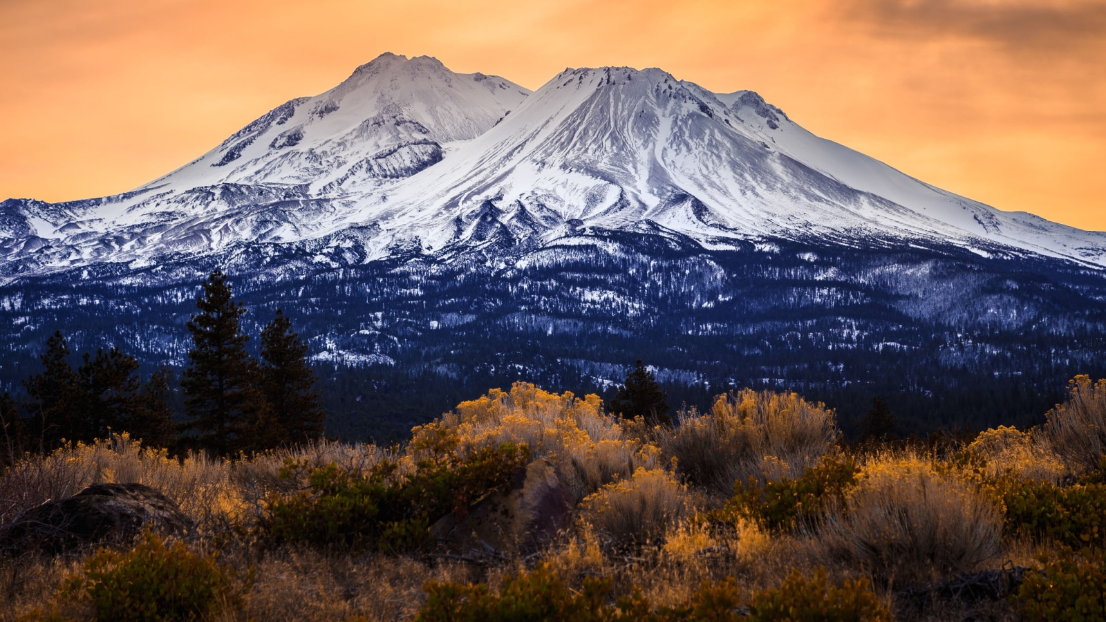 Mount Shasta