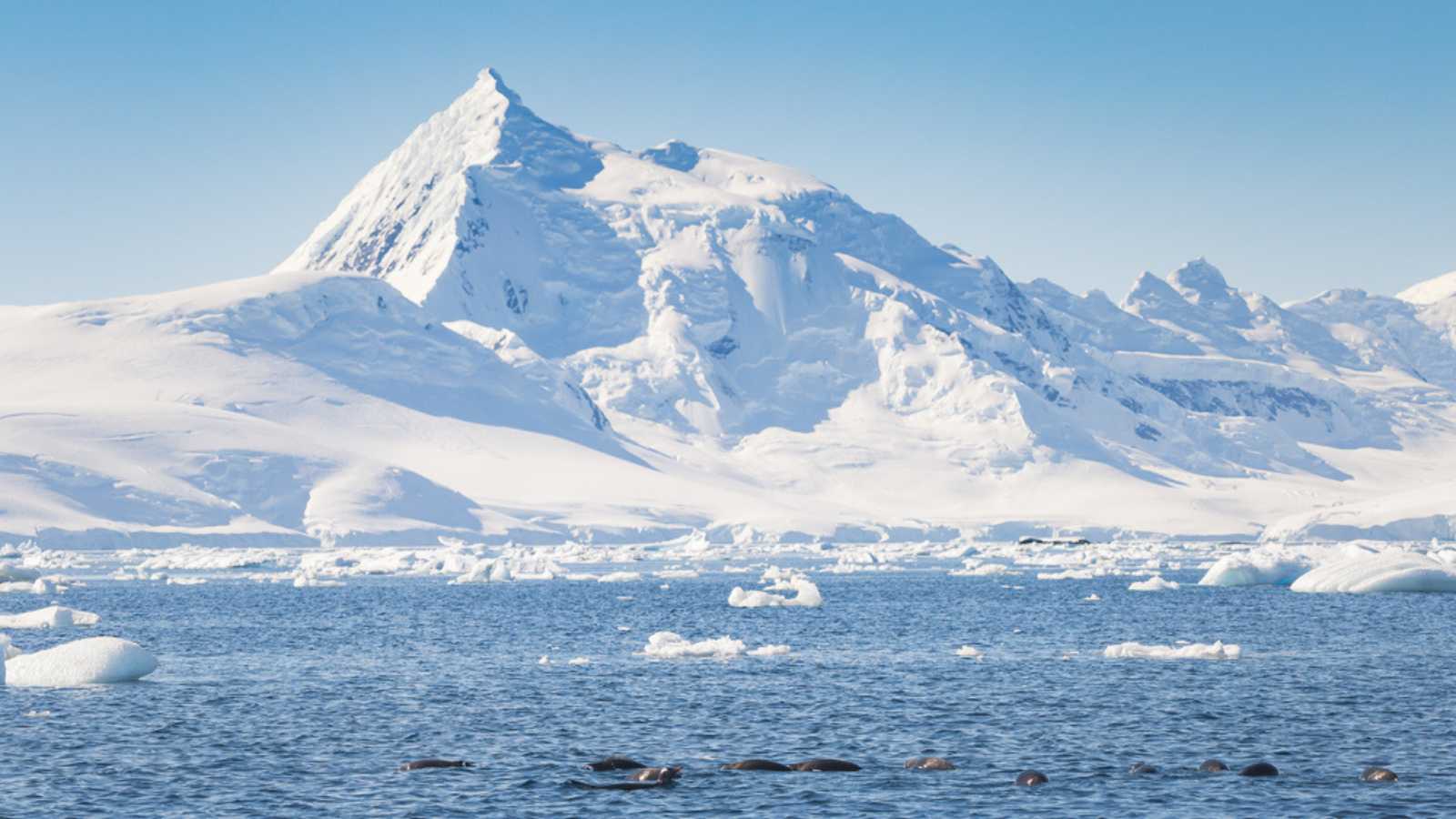 Antarctica peninsula landscape with people, ships, tender boats, penguins, icebergs and mountains