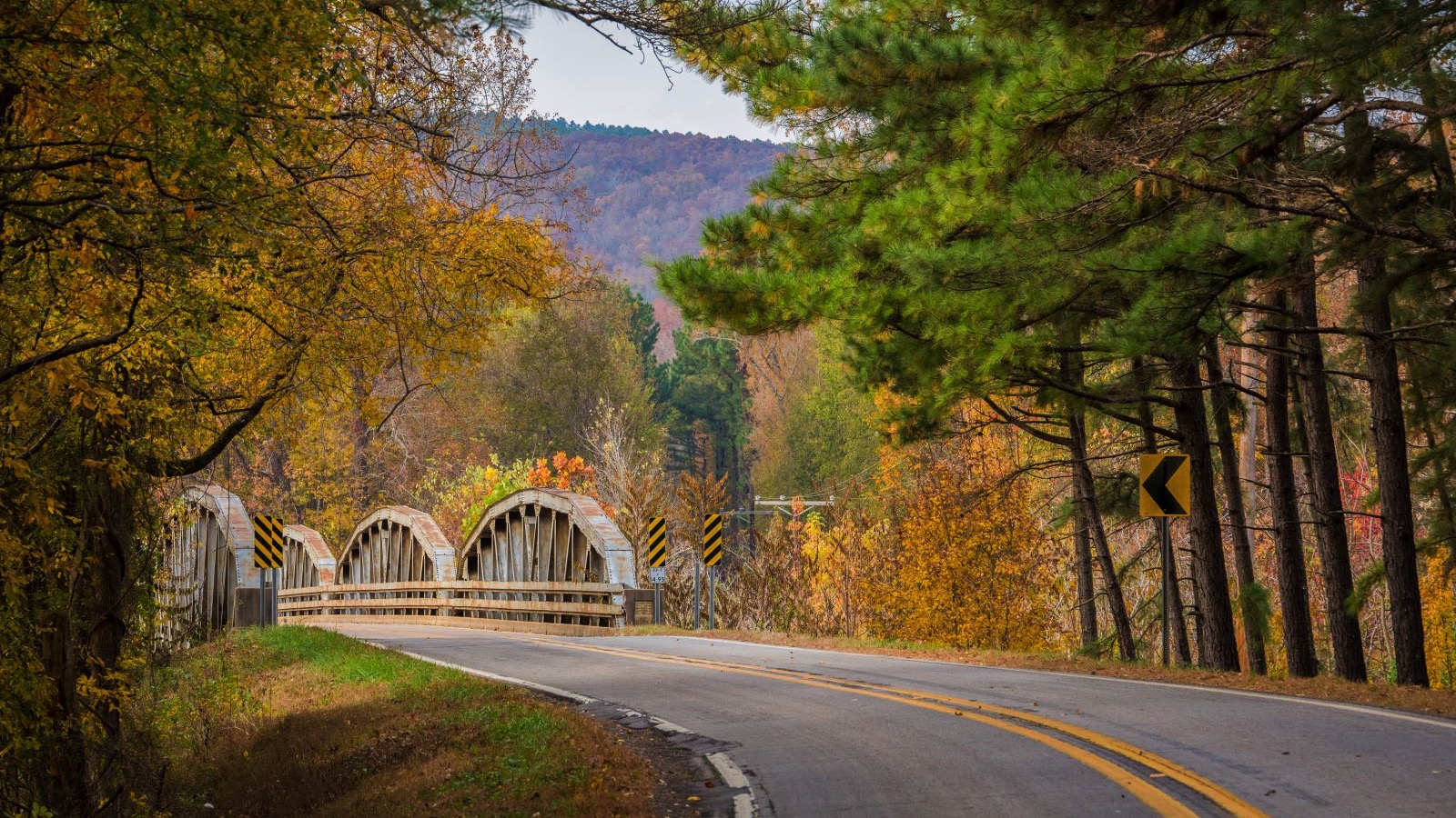 Ozark National Forest in Arkansas