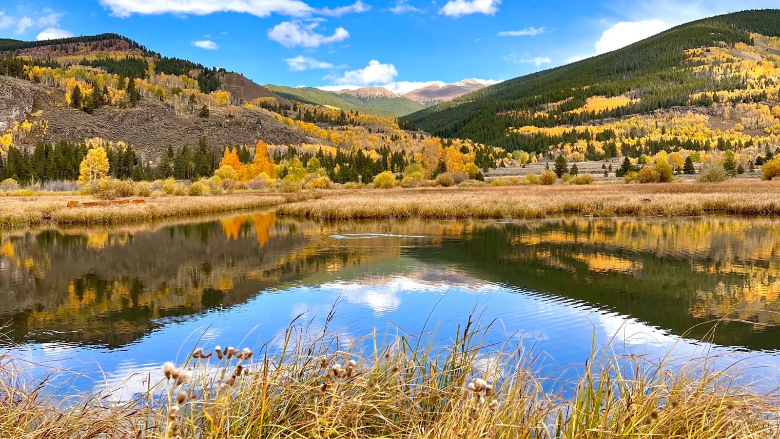 Pond and fall foliage vail, Colorado