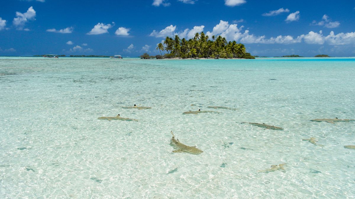 Rangiroa-French-Polynesia