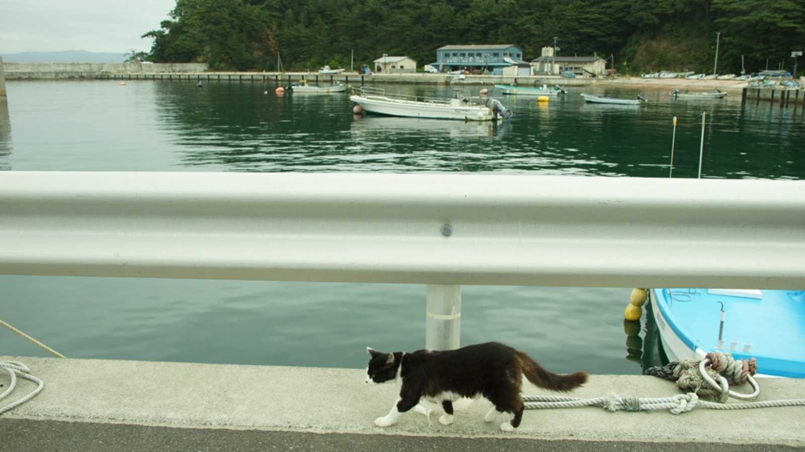 Tashirojima Island