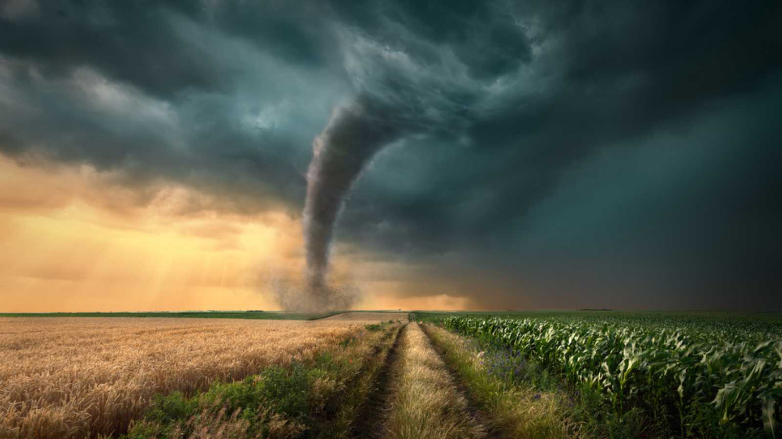 Tornado