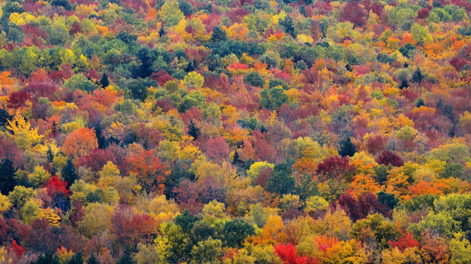 White-Mountains-New-Hampshire