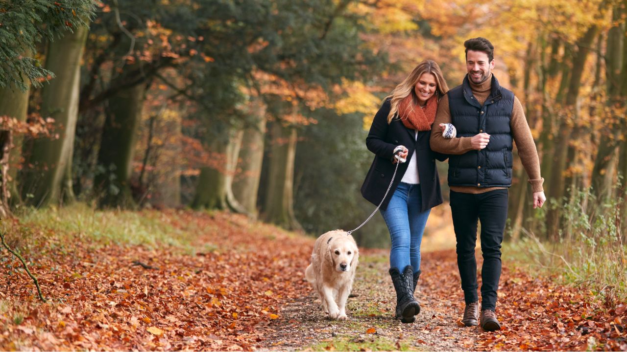 couple-walking-their-dog-in-the-fall