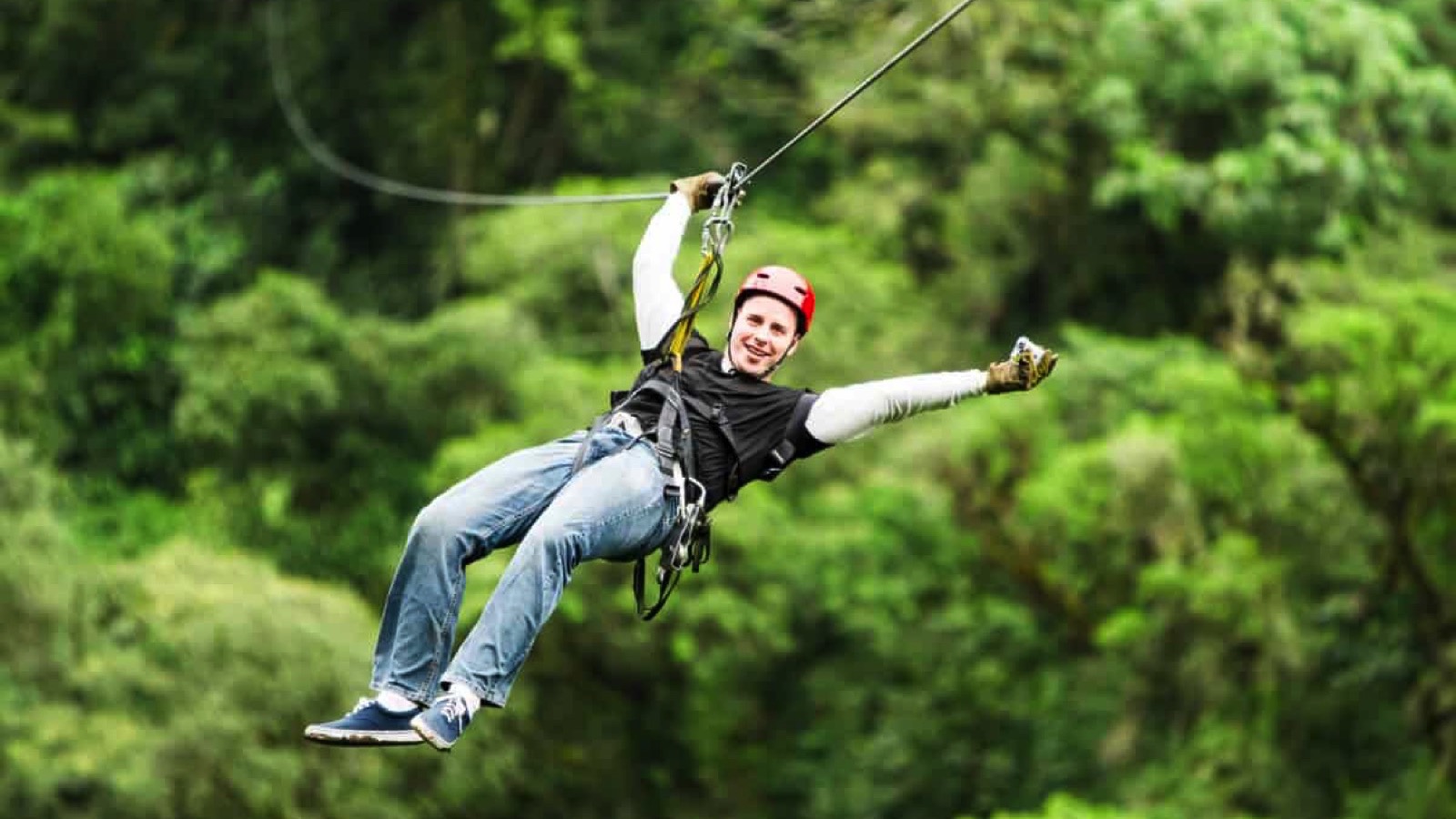 zipline through forest