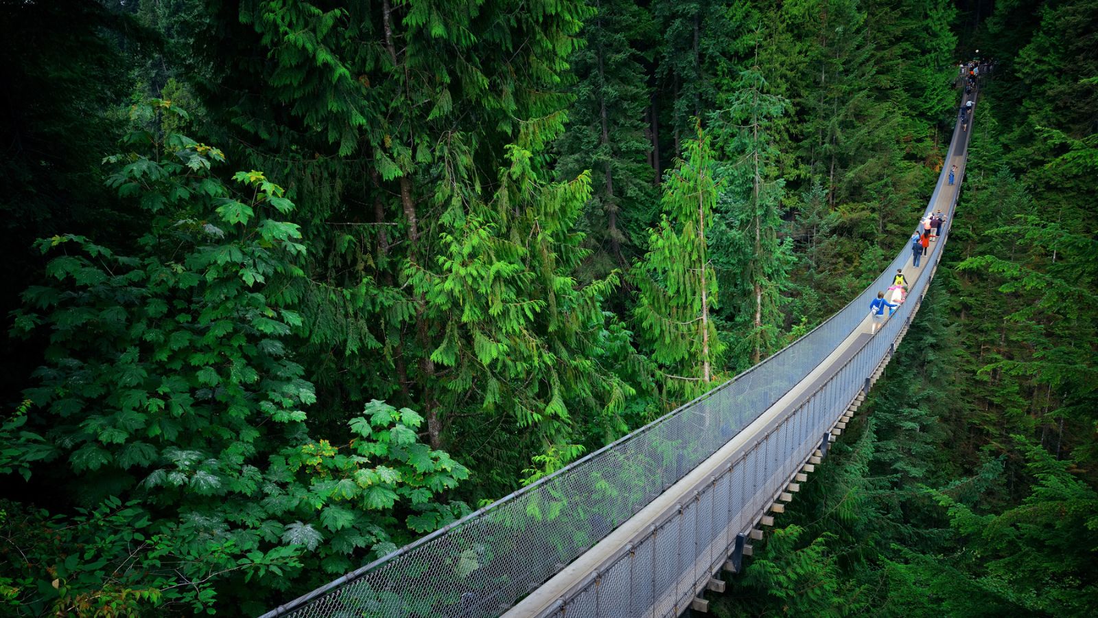 Capilano Suspension Bridge north vancouver