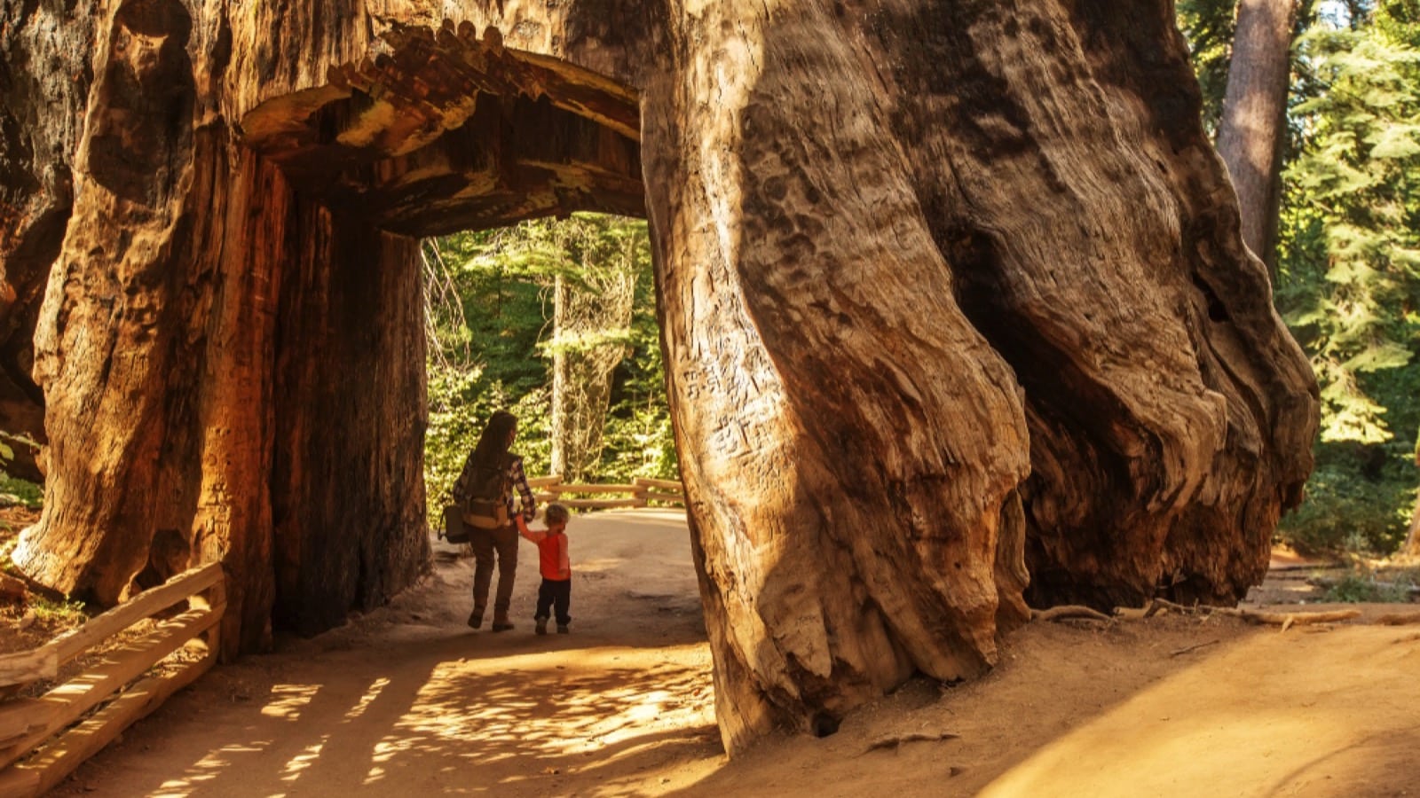 Mother-visiting-national-park-with-toddler