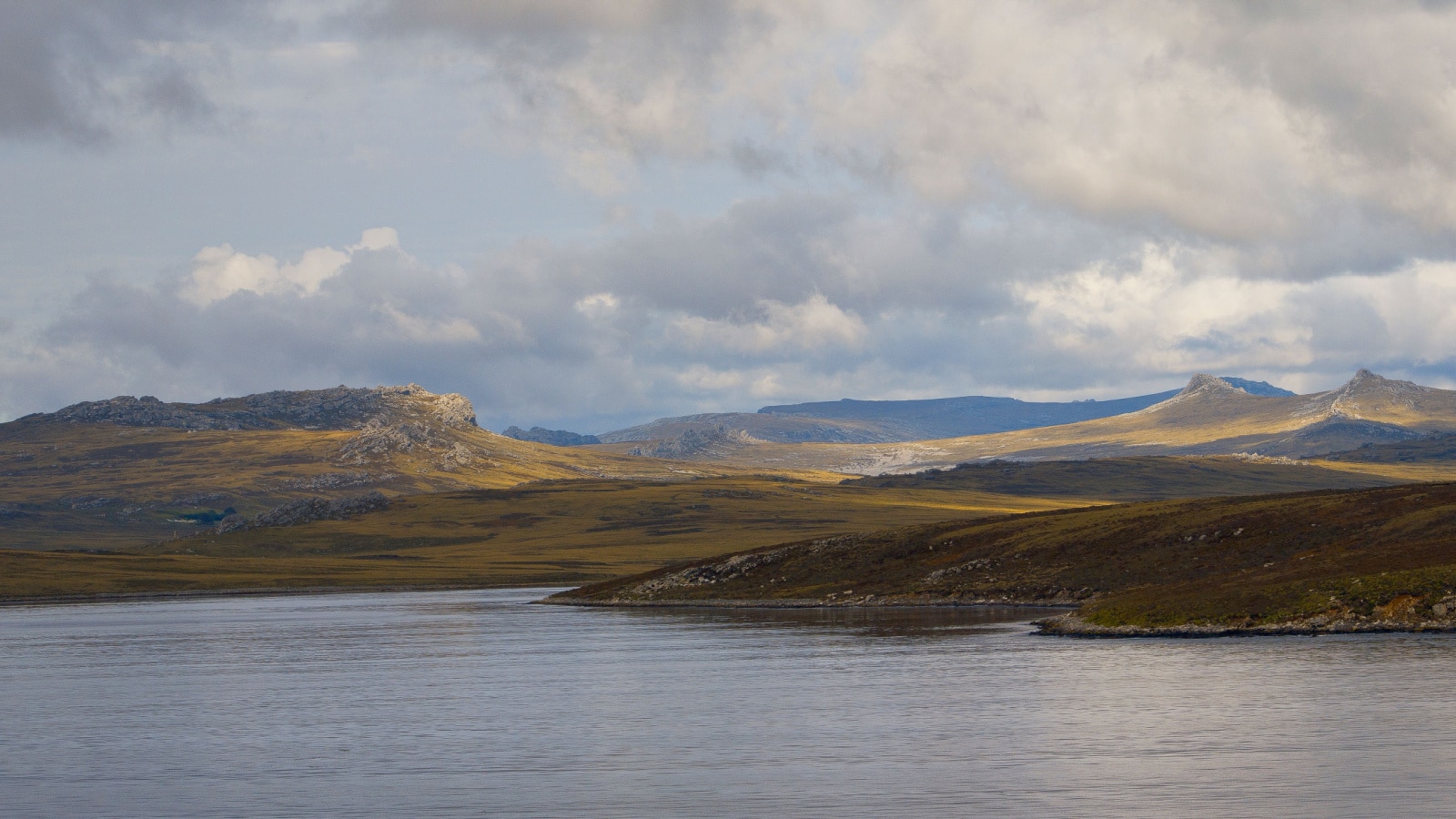 The Falkland Islands