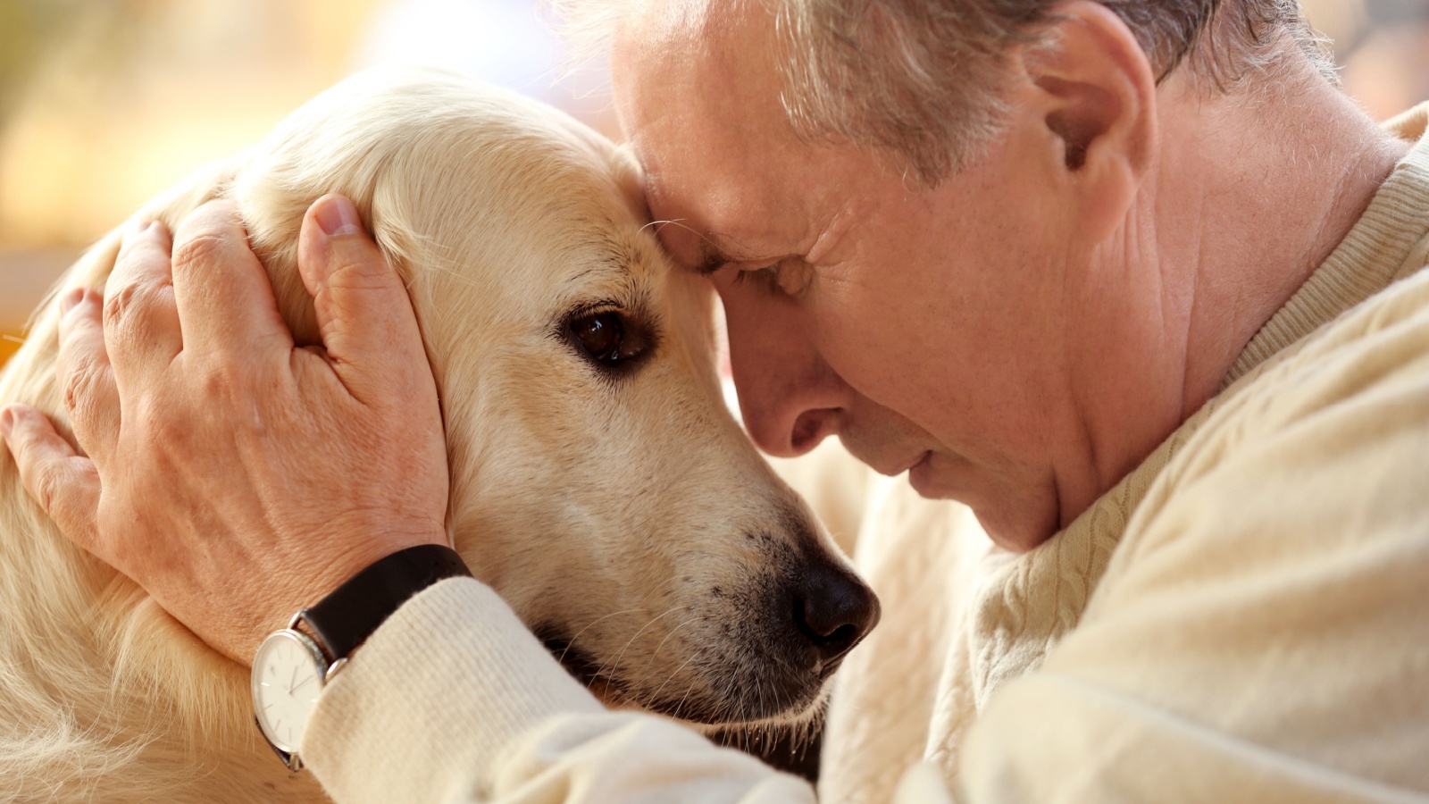 retired mature man senior with dog