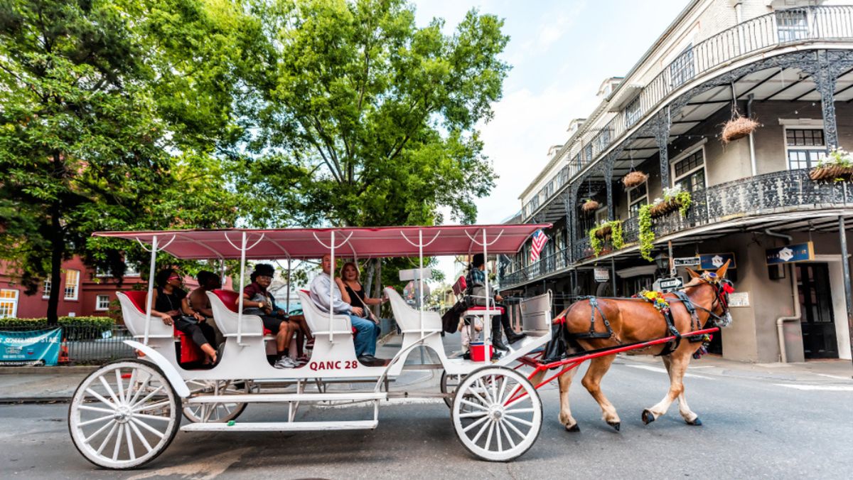 carriage-tour-new-orleans